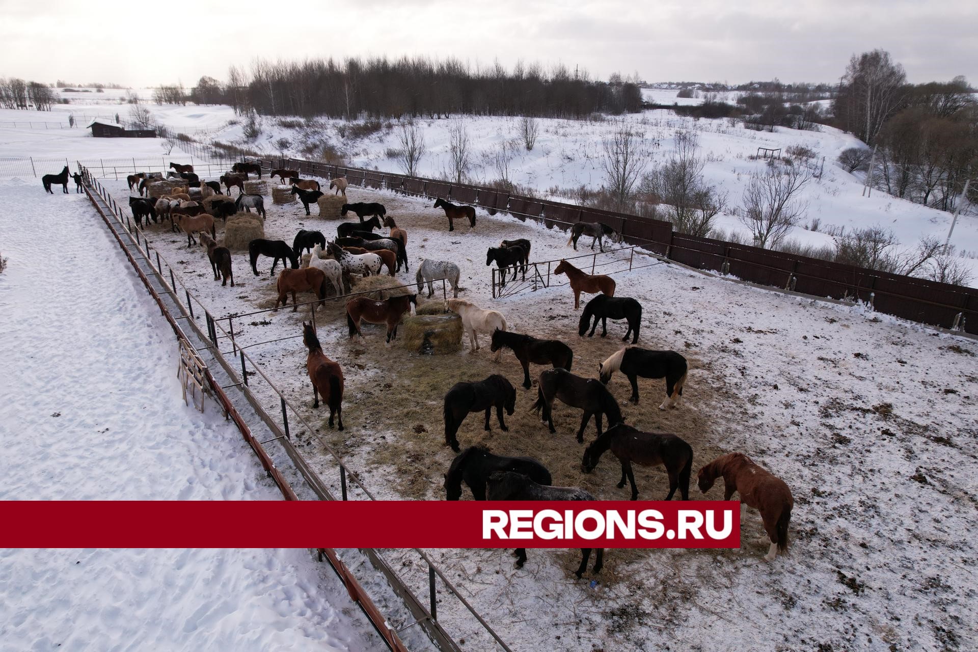 Фото: Дарья Московцева