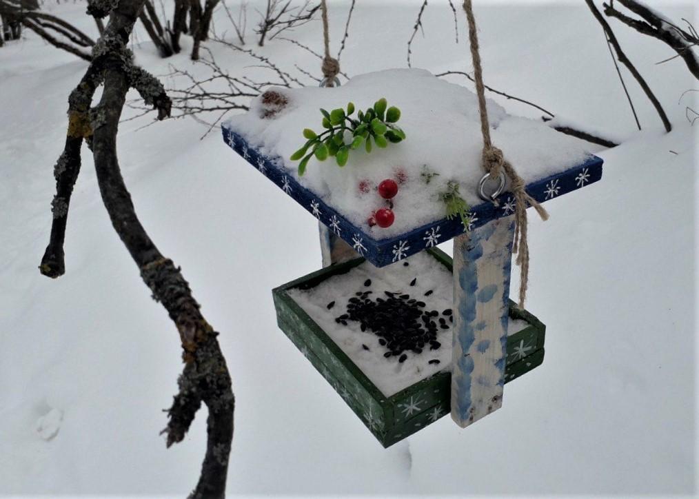 Фото: Шатурское лесничество