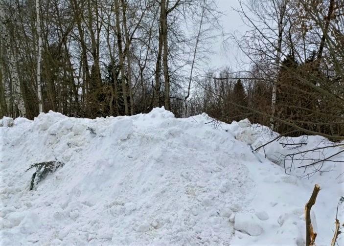 Фото: Комитет лесного хозяйства Московской области