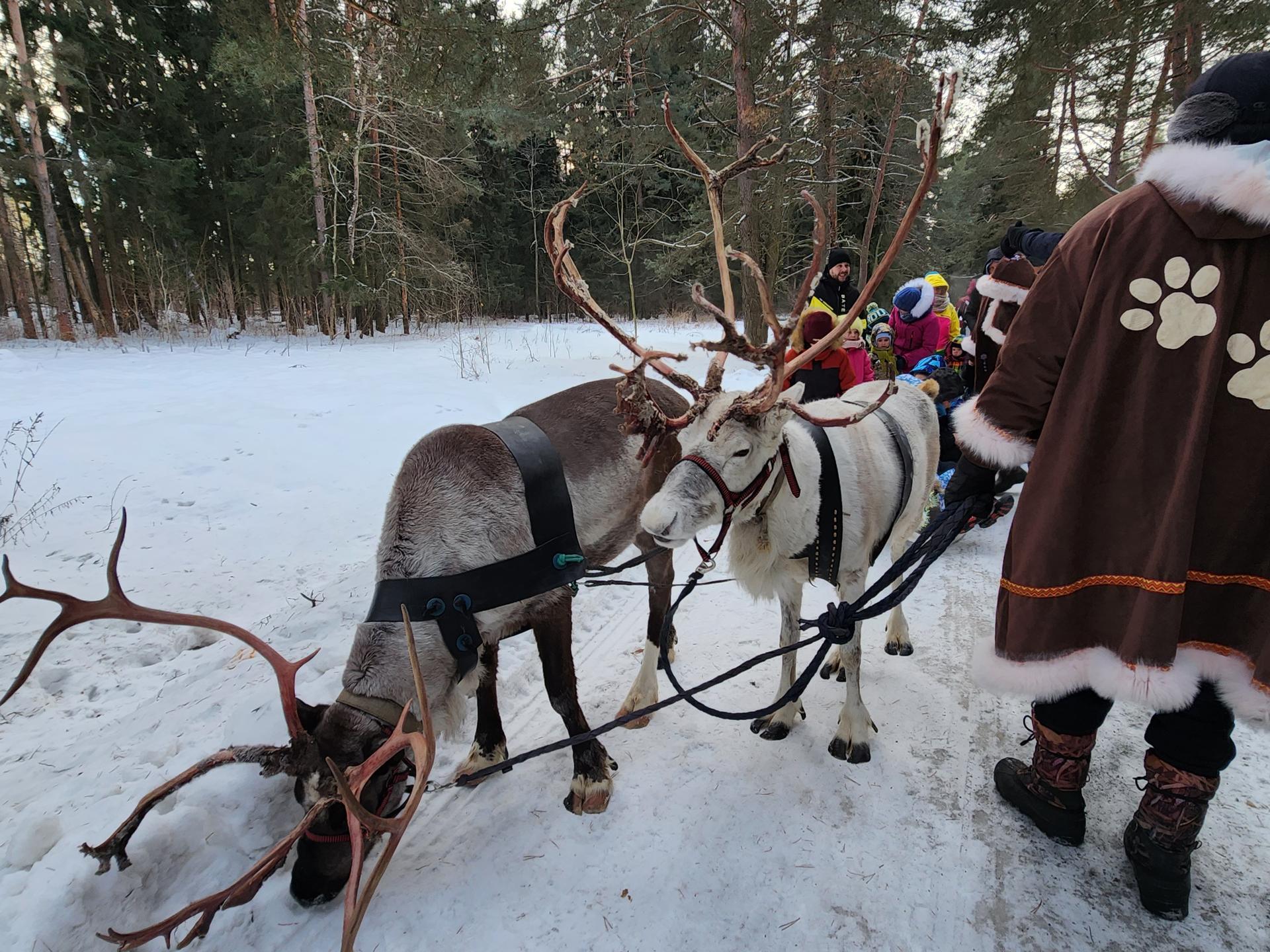 Фото: Светлана Борщева