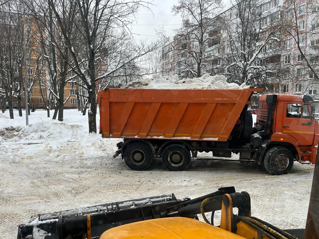 Фото: пресс-служба администрации г.о. Черноголовка