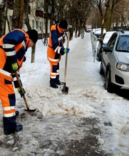 Фото: пресс-служба администрации городского округа Истра