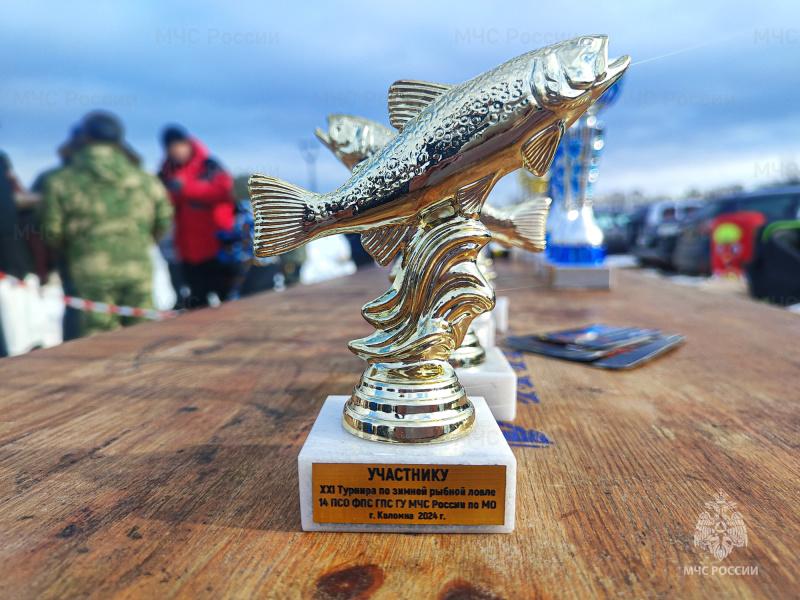 Фото: ГУ МЧС России по МО