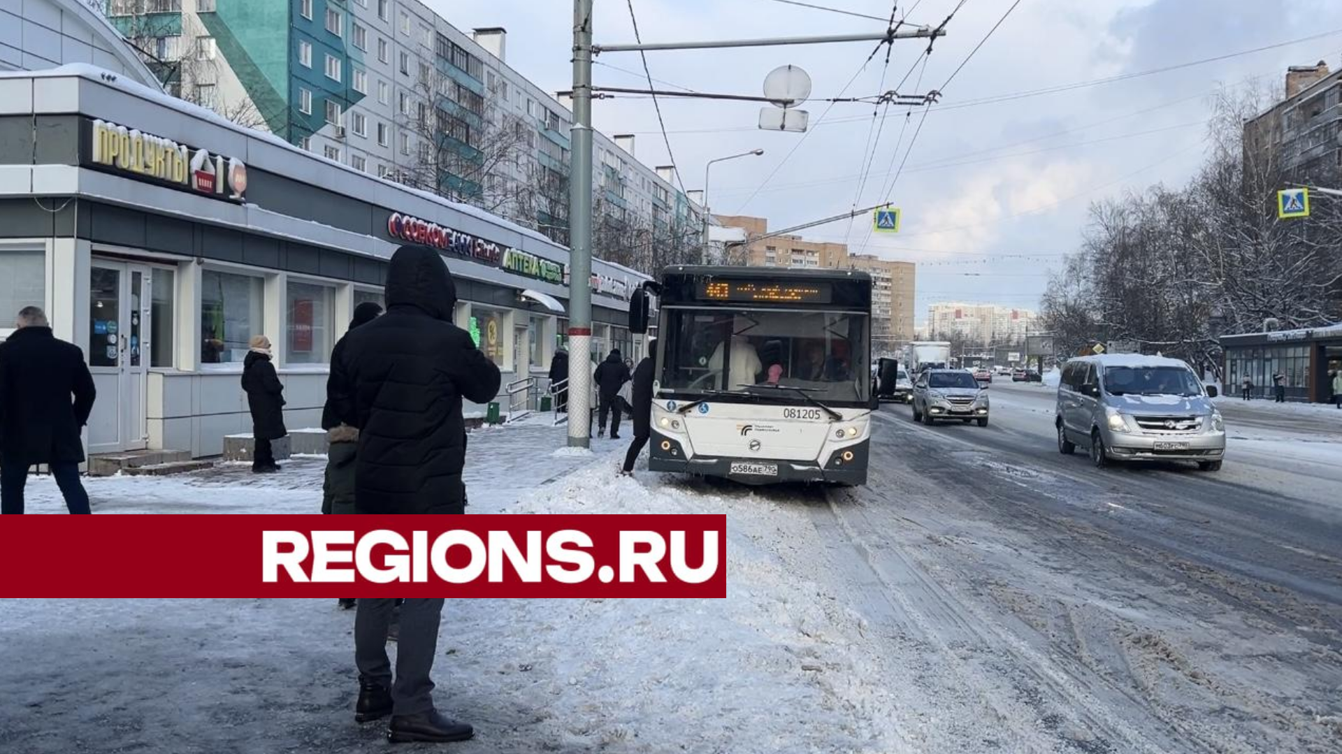 На маршруте №443 в Химках запустят автобусы большого класса | REGIONS.RU /  Химки