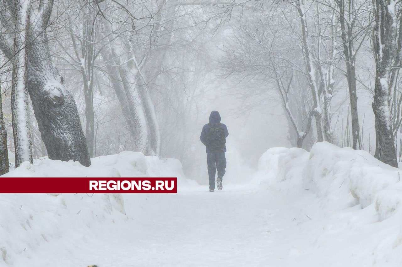 Фото: Яна Шаливская