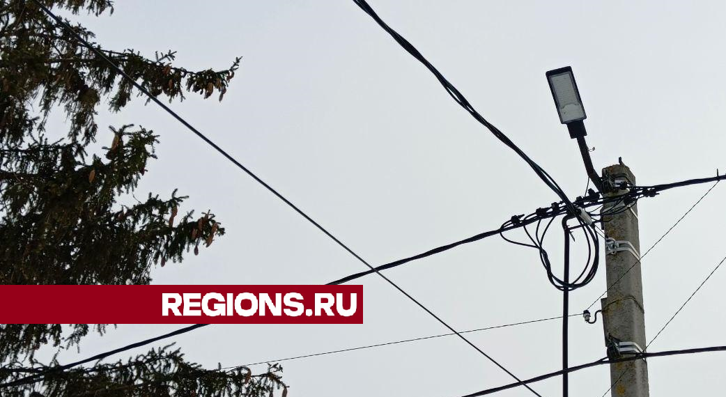 фото: Евгений Рой