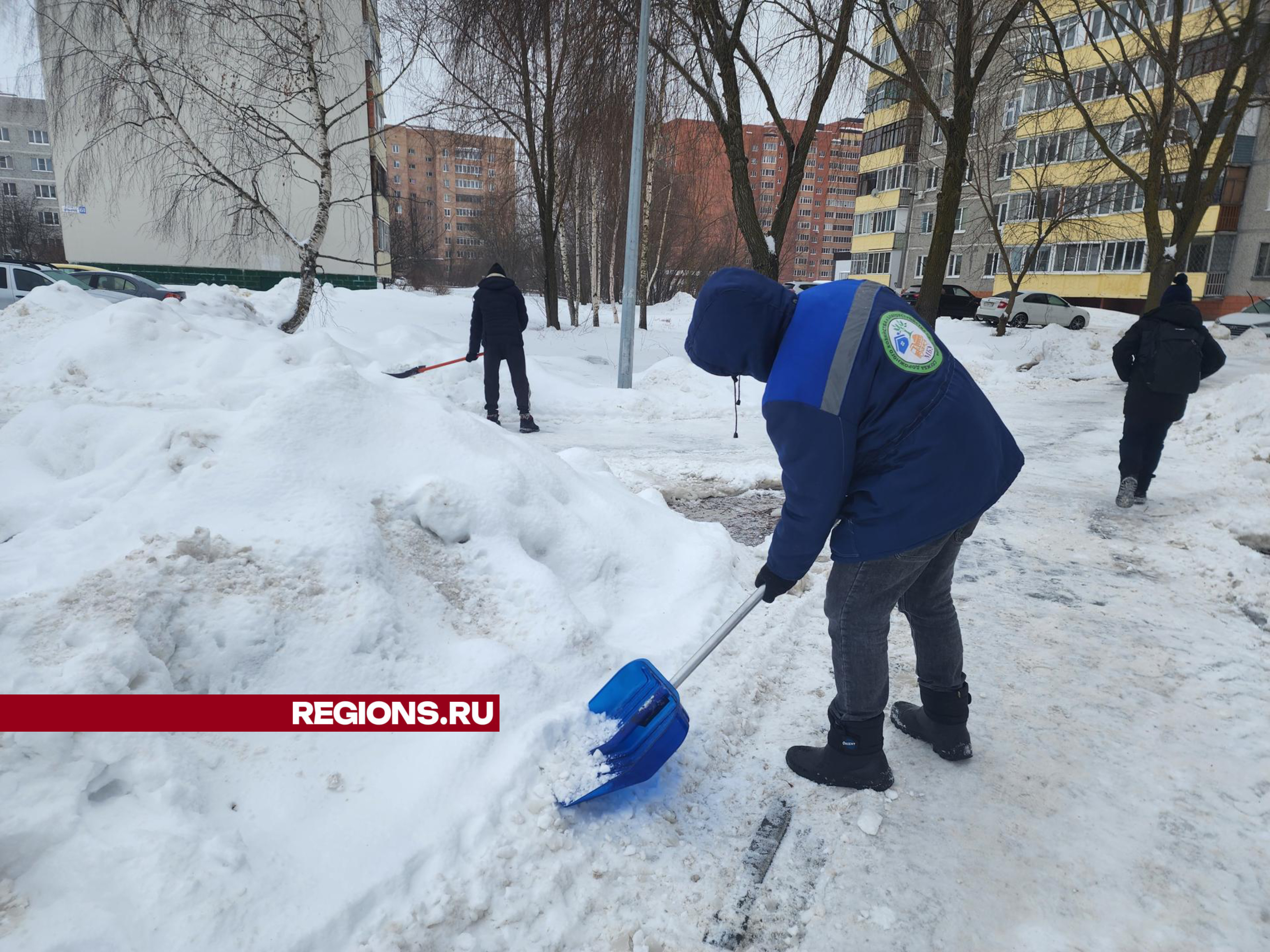 Фото: Михаил Мартыненко