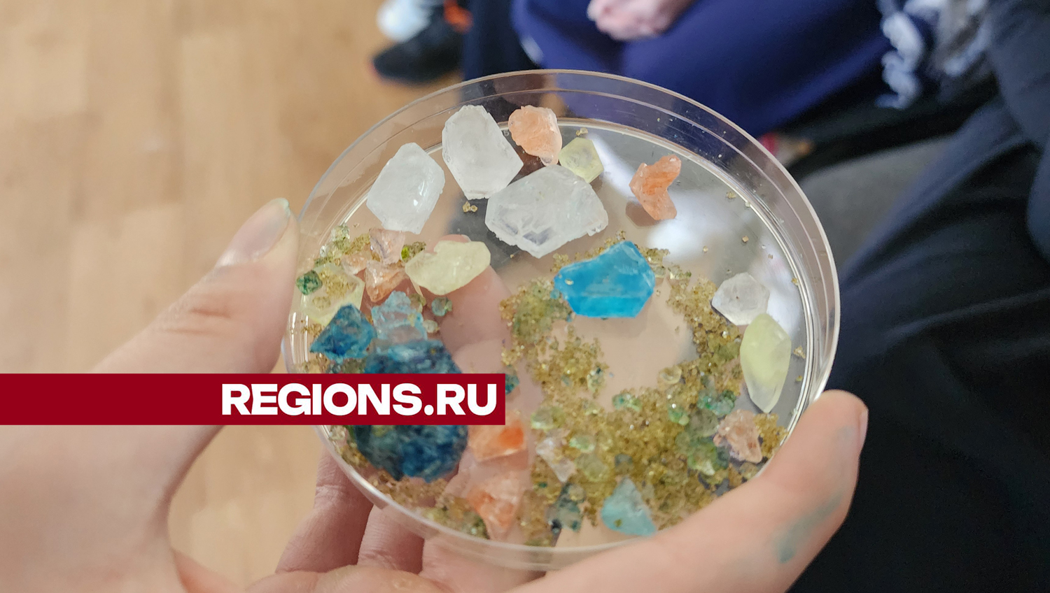 Фото и видео: Ольга Егиян