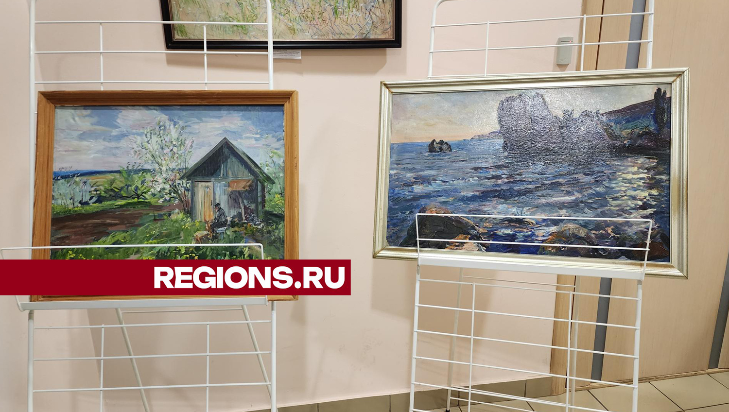 Фото: Ольга Шеметова, видео: Пушкинская библиотека
