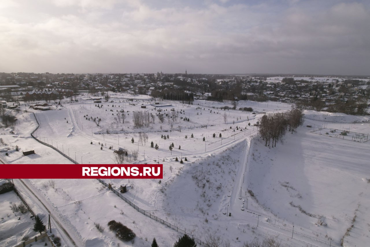 Фото: Дарья Московцева