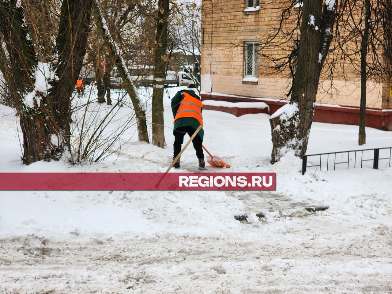 Фото: Роман Яковлев