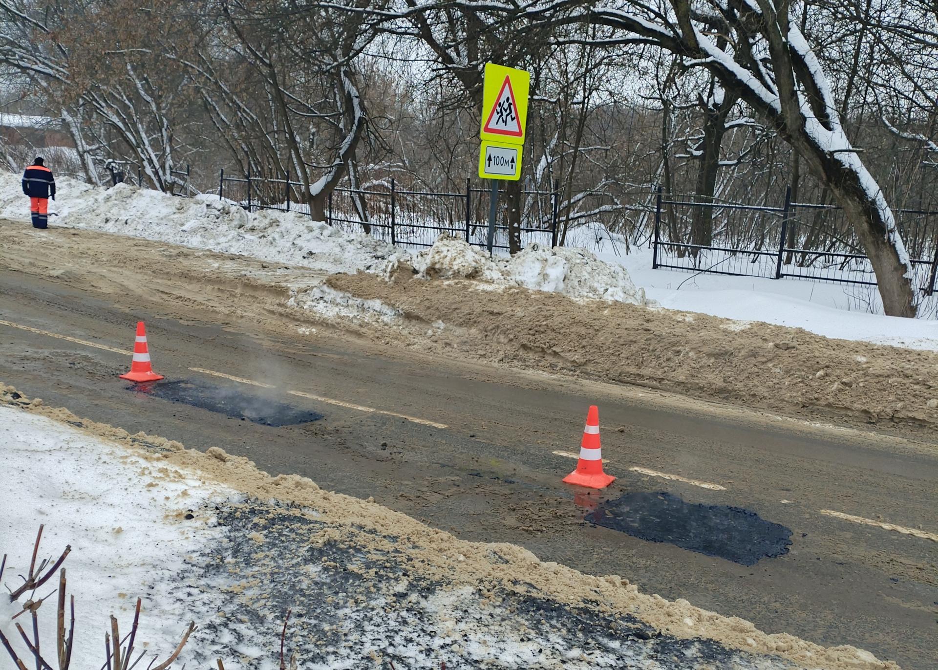 Фото: Светлана Плотникова