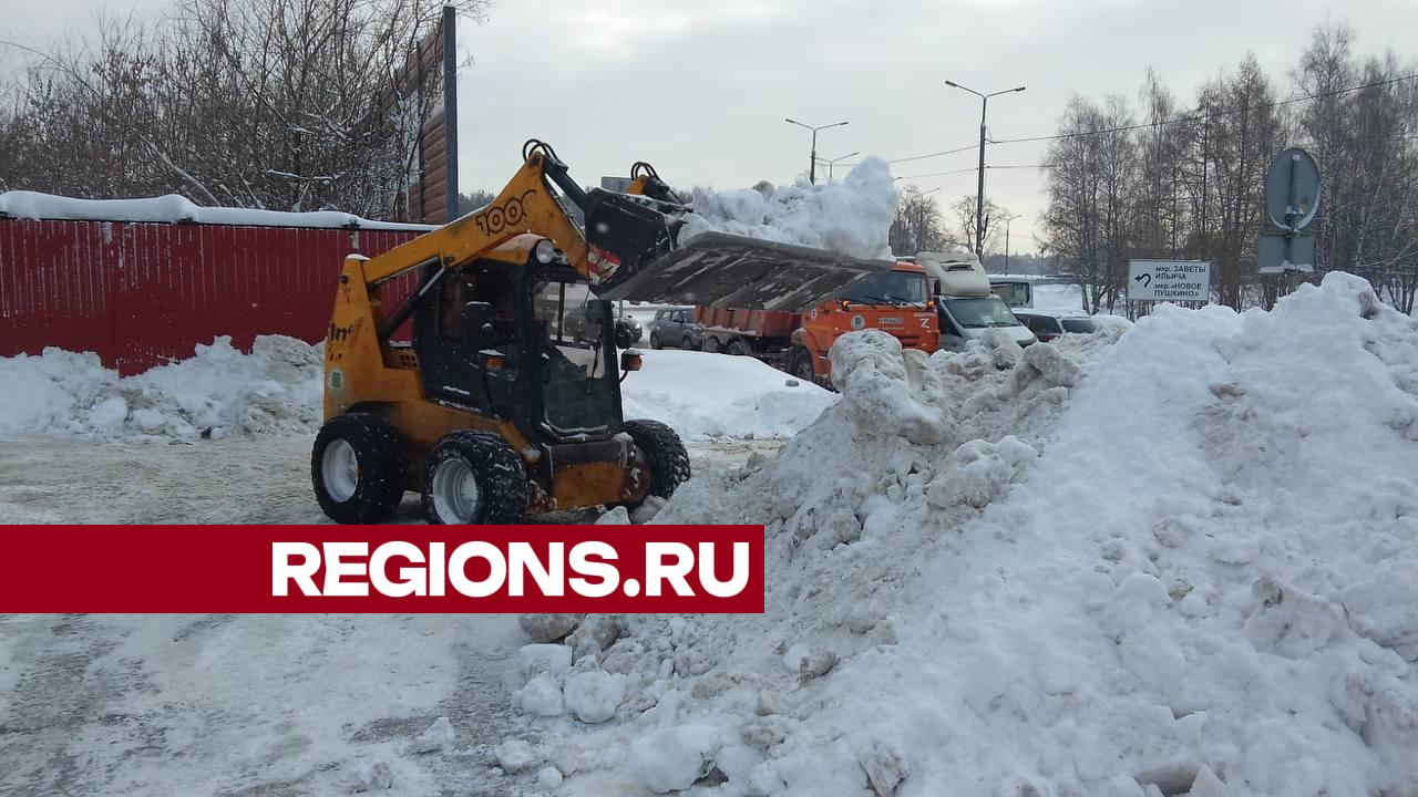 фото: Ольга Шеметова