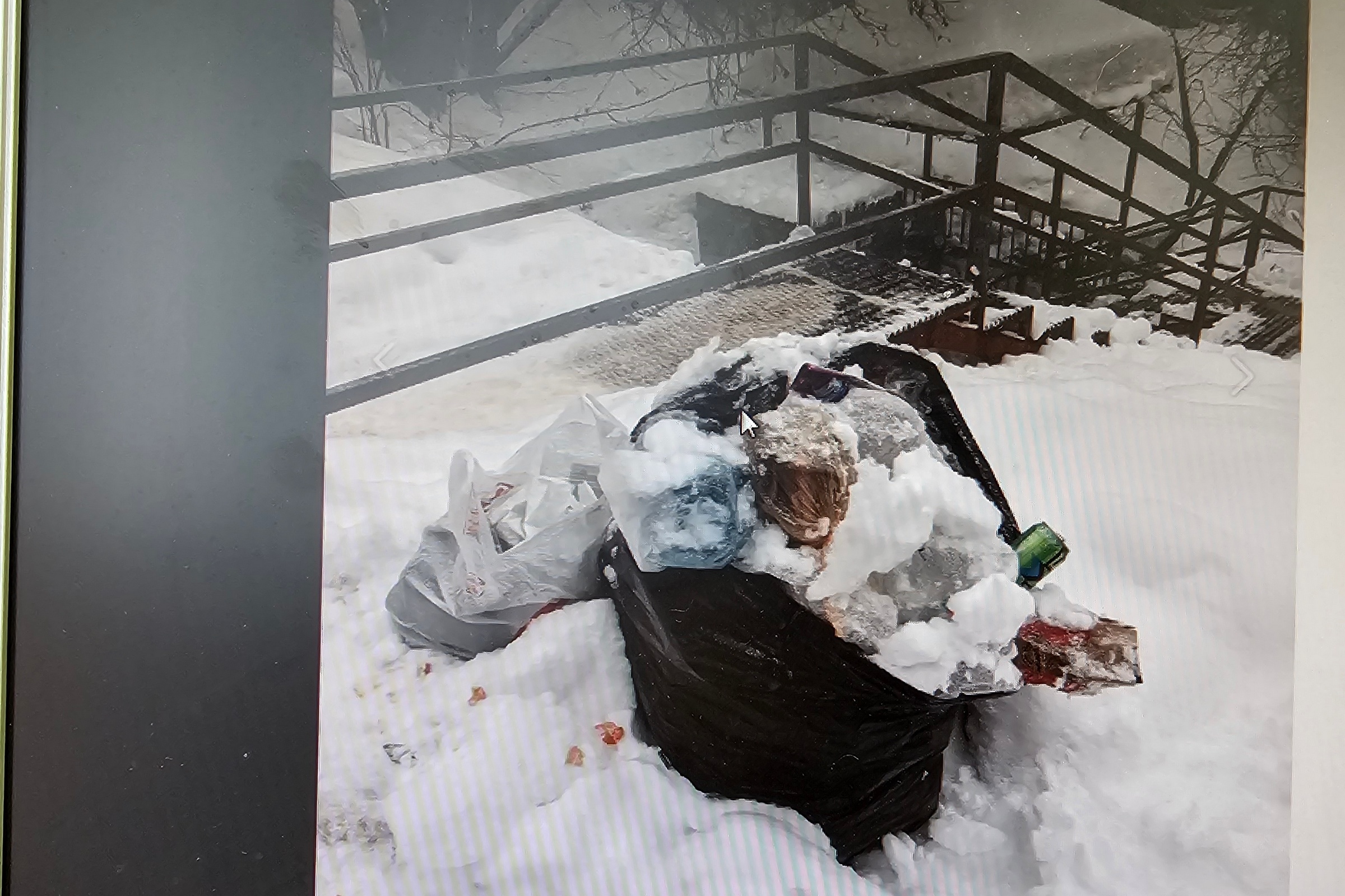 Родник в деревне Берхино очистили от мусора по обращениям жителей ...