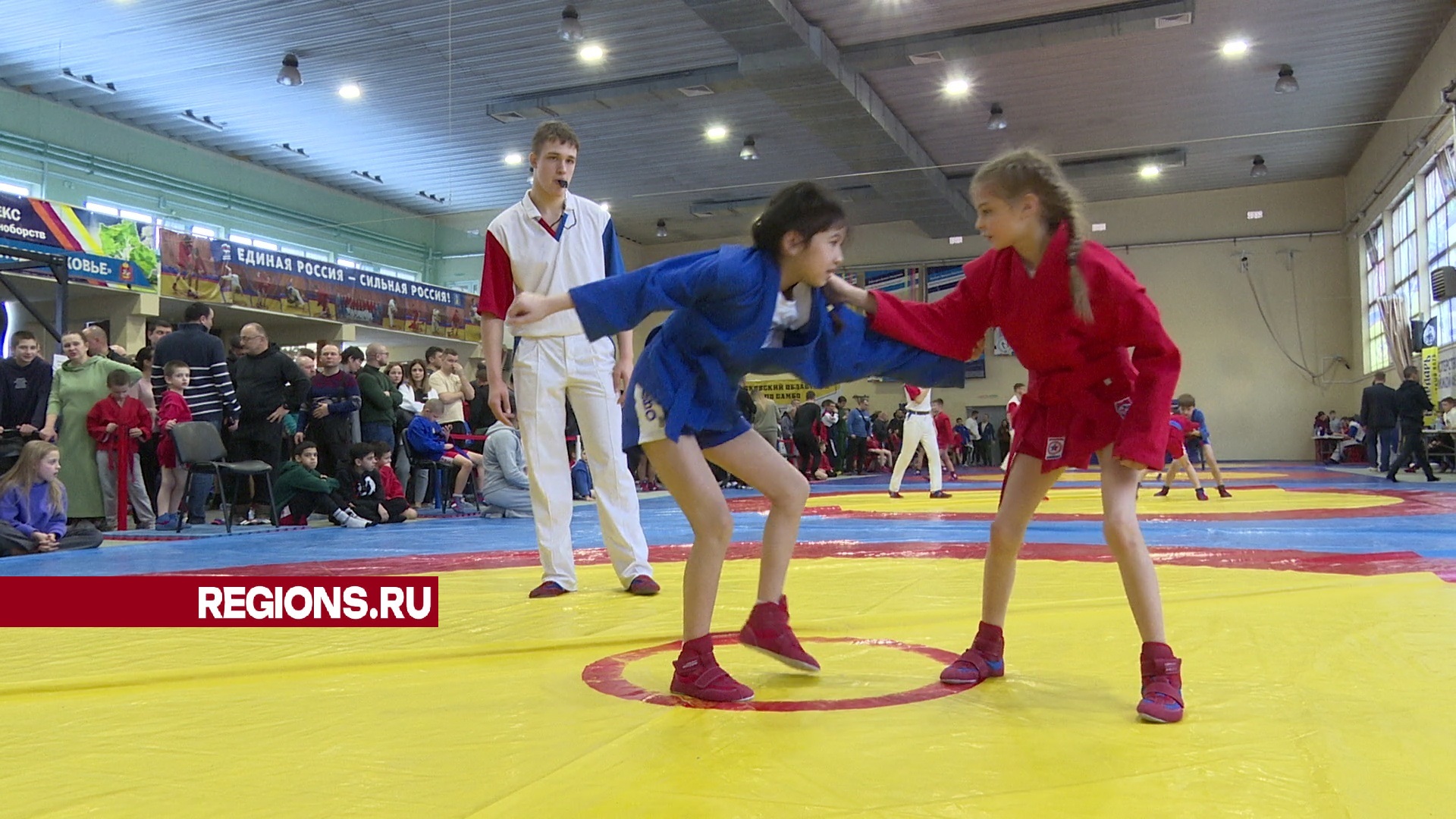 Текст, фото и видео – Ксения Казакова