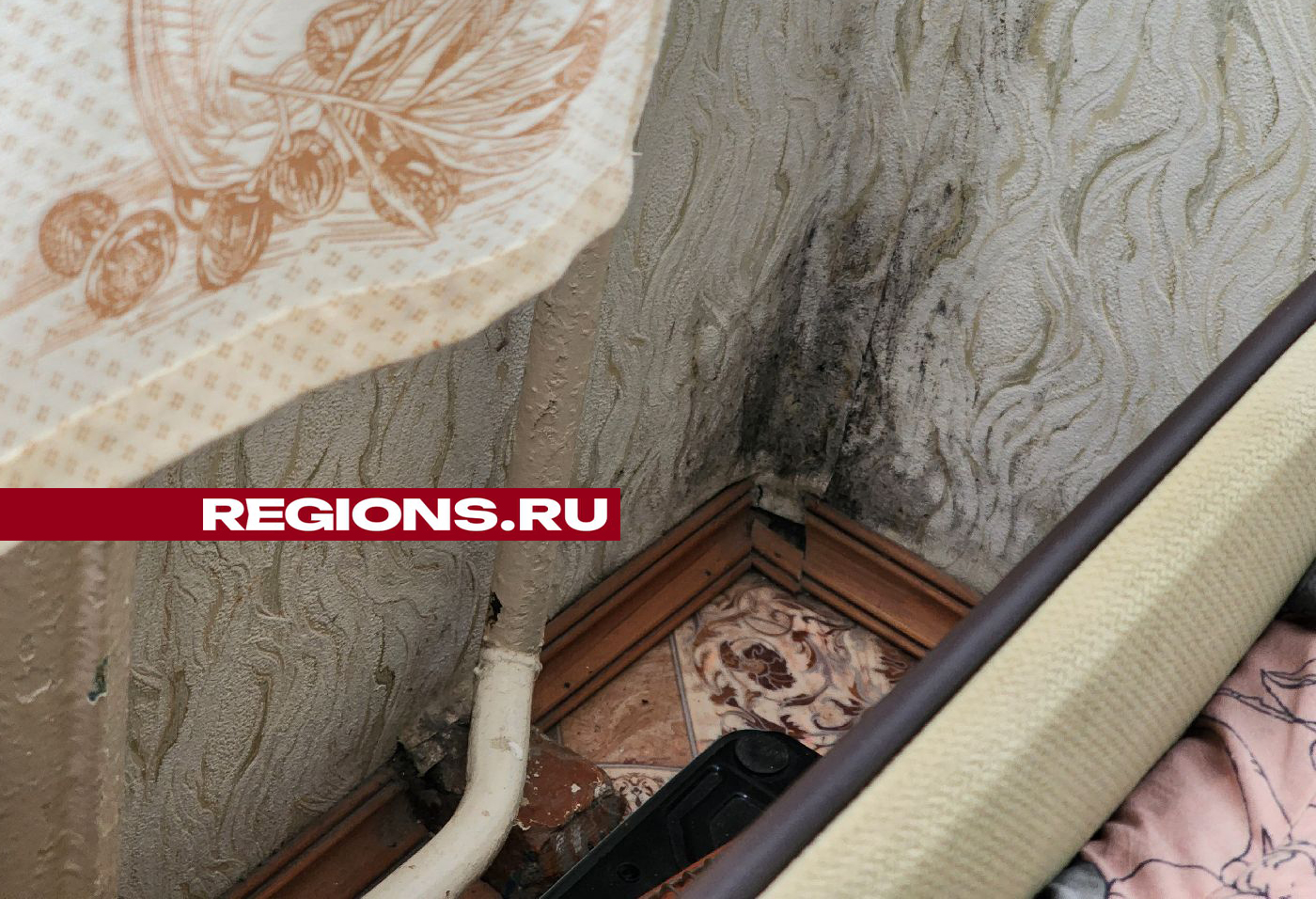 Фото: Мария Андрюхина