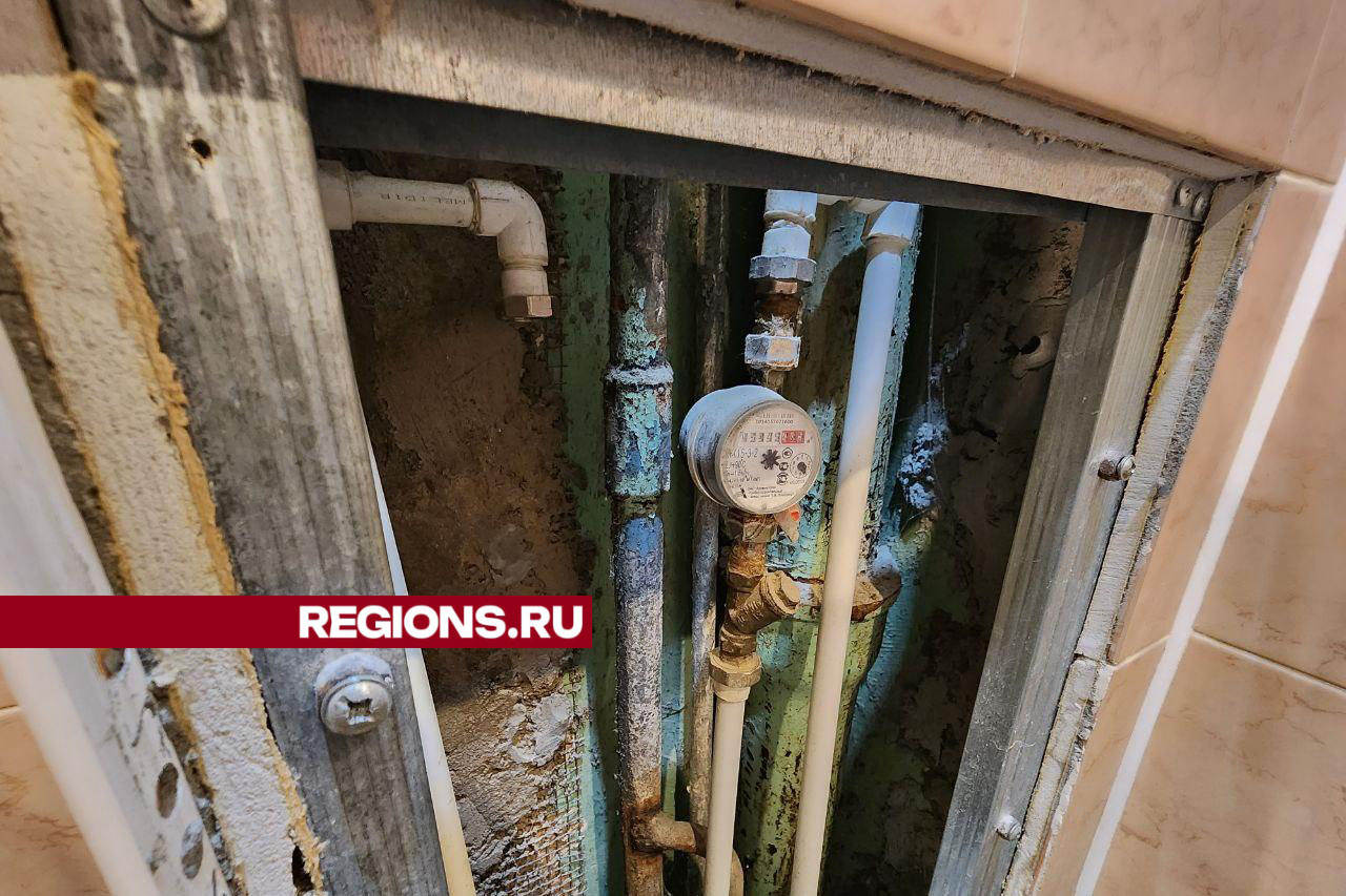 Фото: Яна Шаливская