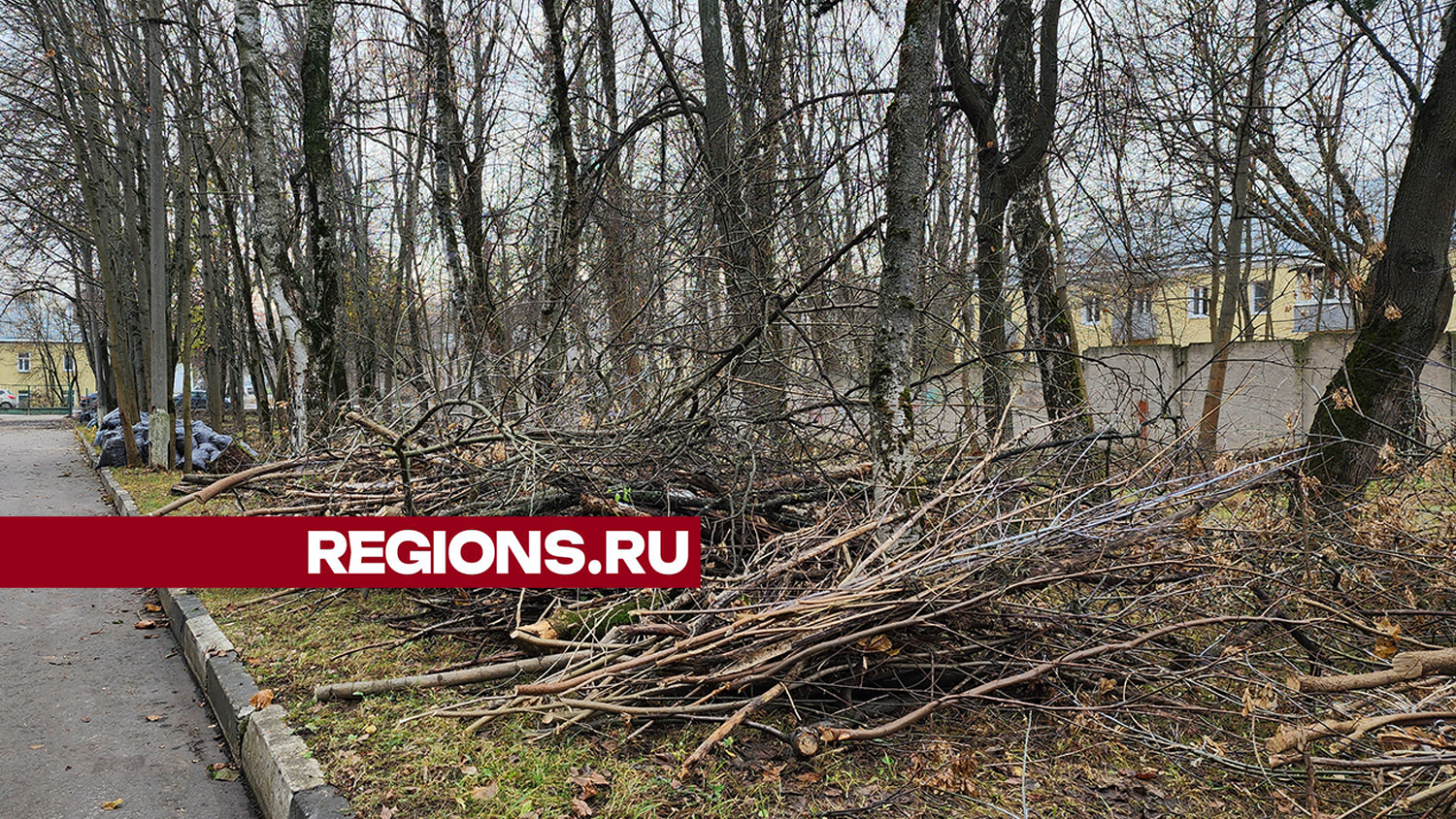 Фото: Константин Гергая
