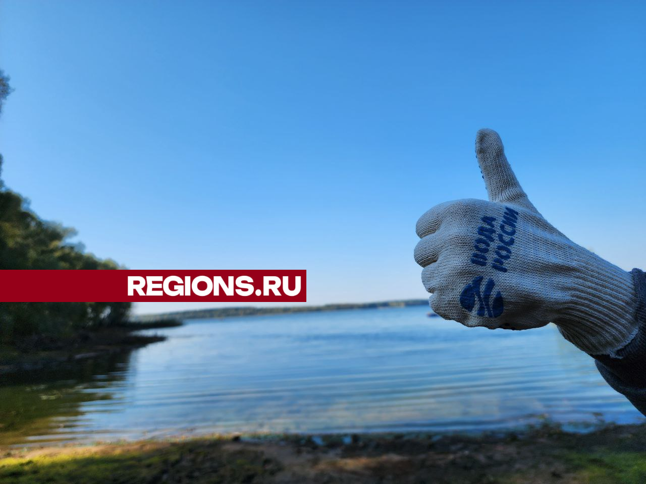 Фото: Regions