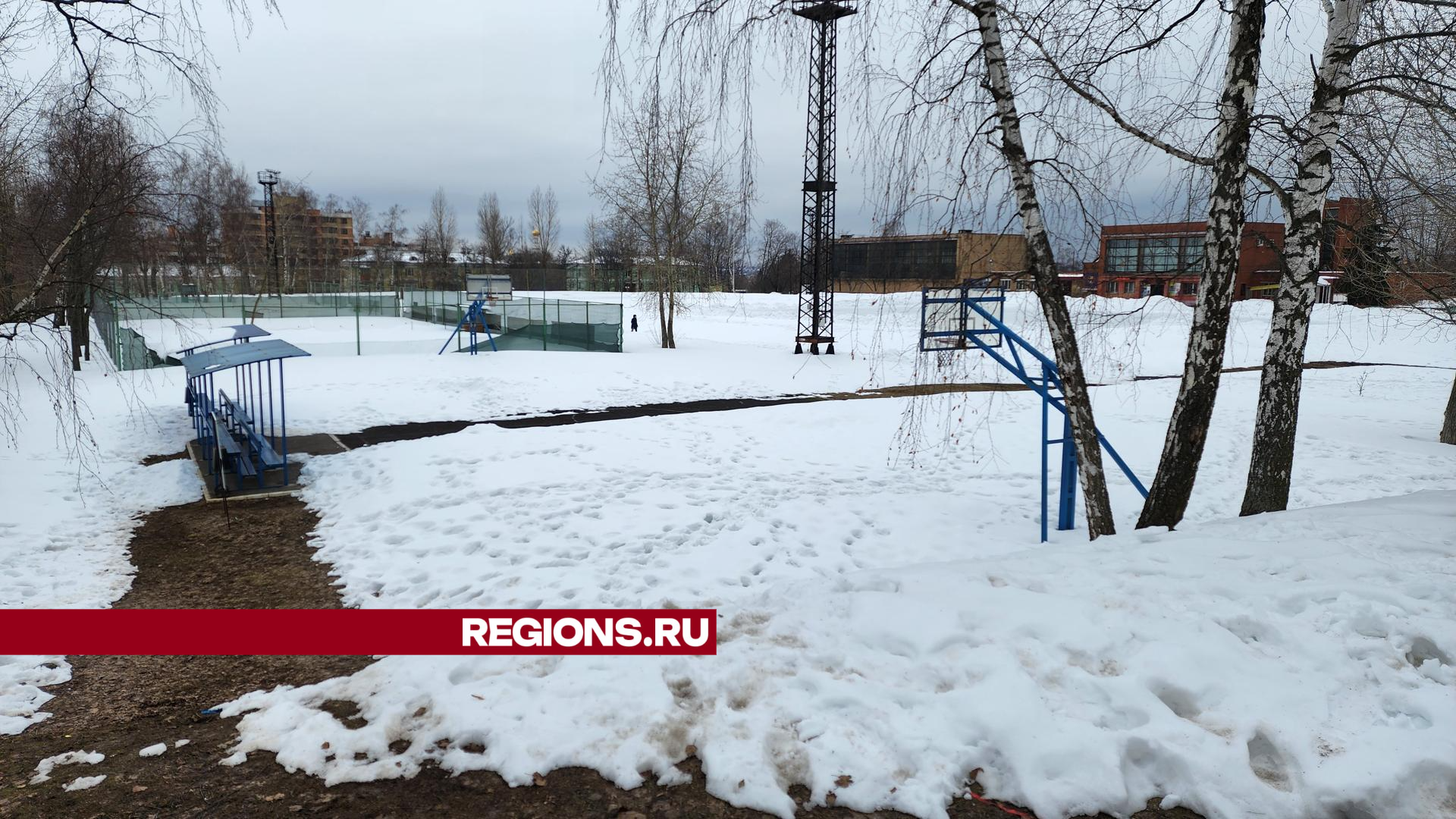 Фото Ольги Фельдфебелевой