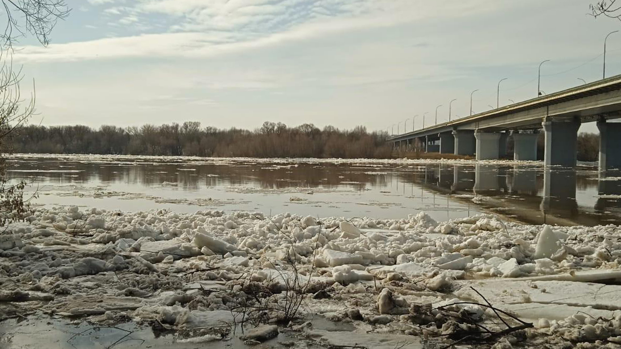 Фото: ГКУ МО «Мособлпожспас»
