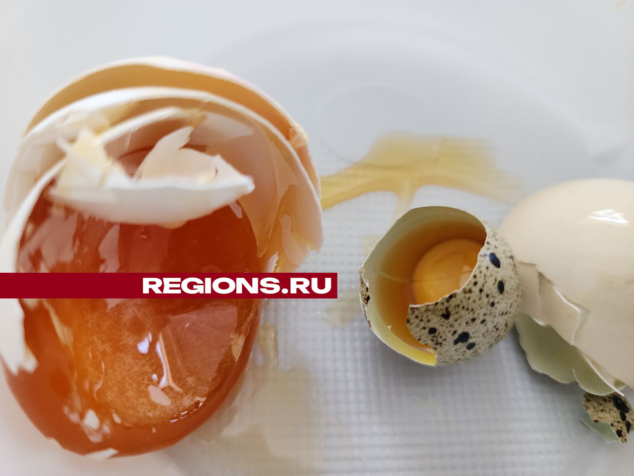 Фото: Мария Андрюхина