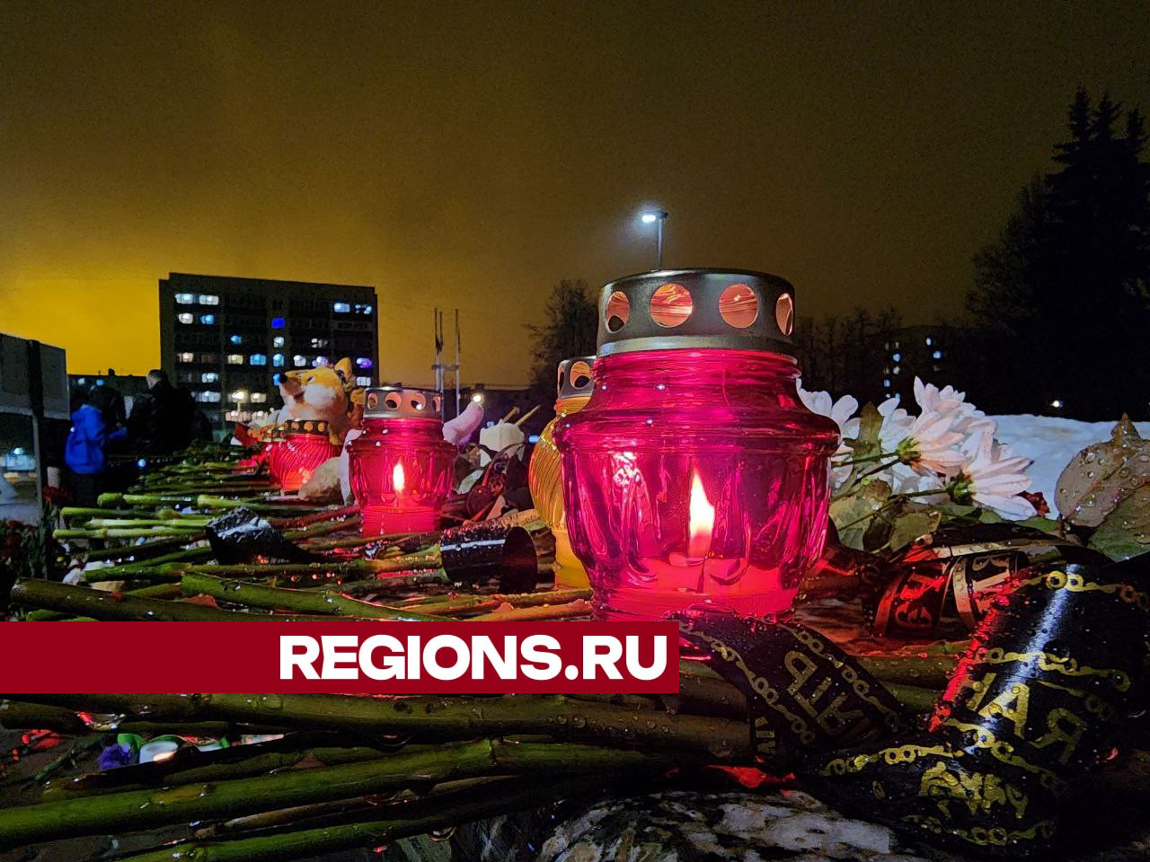 В Воскресенске зажгли свечи в память о жертвах теракта в «Крокусе ...