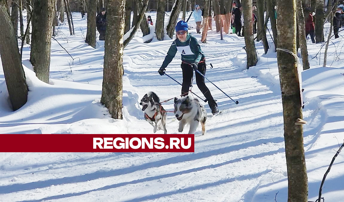 Фото: Андрей Семибратов