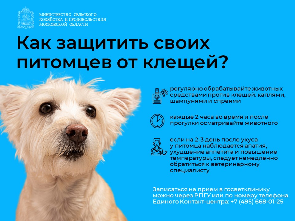 Фото: пресс-служба Минсельхозпрод МО