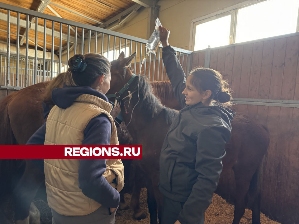 Фото: Татьяна Рунова