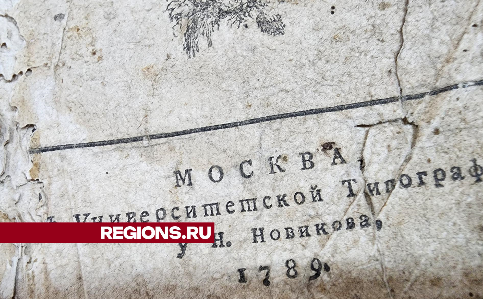 фото: Екатерина Мелкозерова