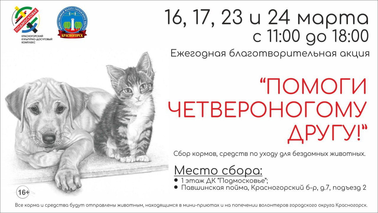 Источник: администрация г.о. Красногорск