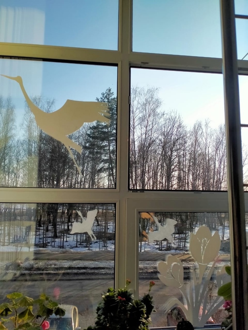 Фото: ДШИ «Фламинго»