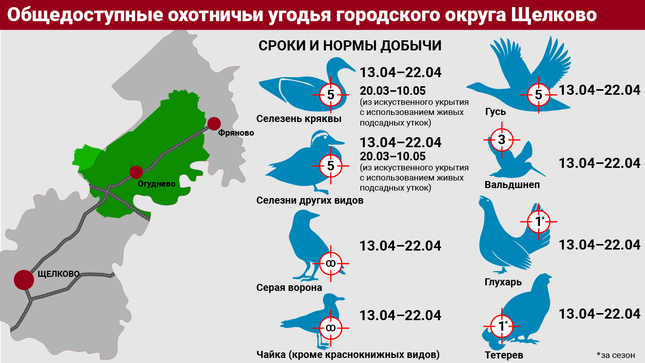 Где и на кого можно охотиться в Подмосковье весной | Regions.ru