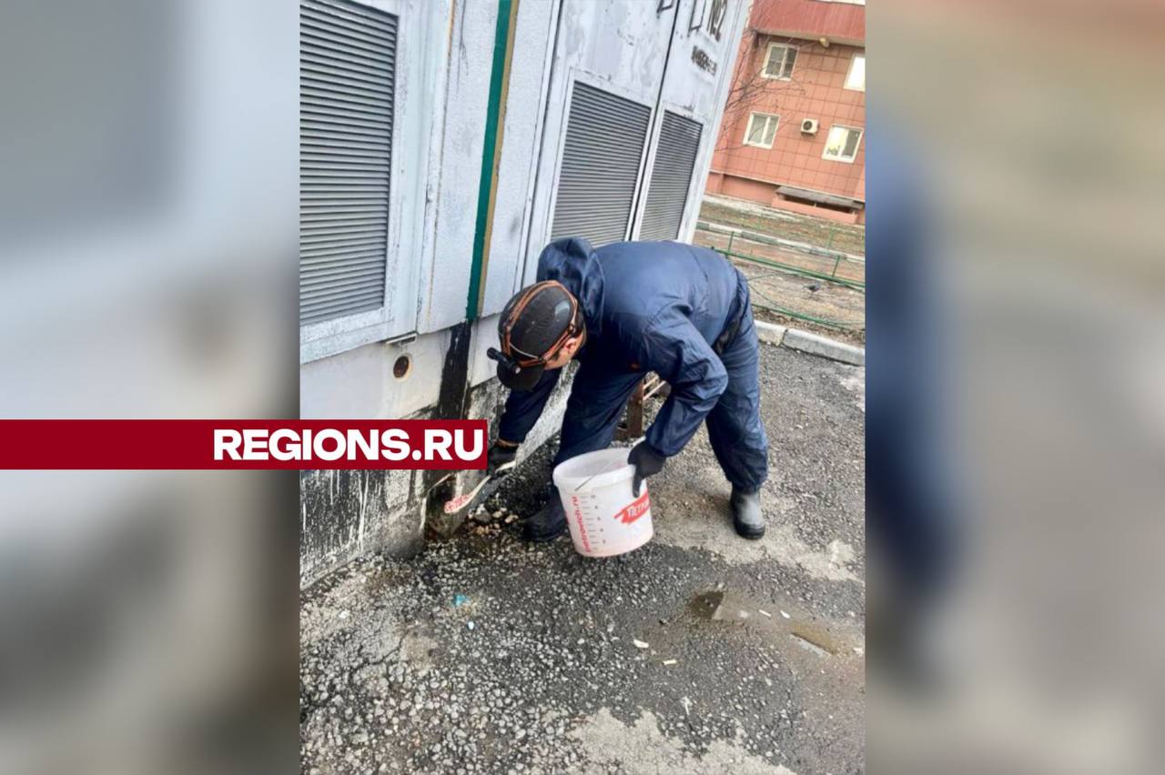 Фото: пресс-служба городского округа Балашиха