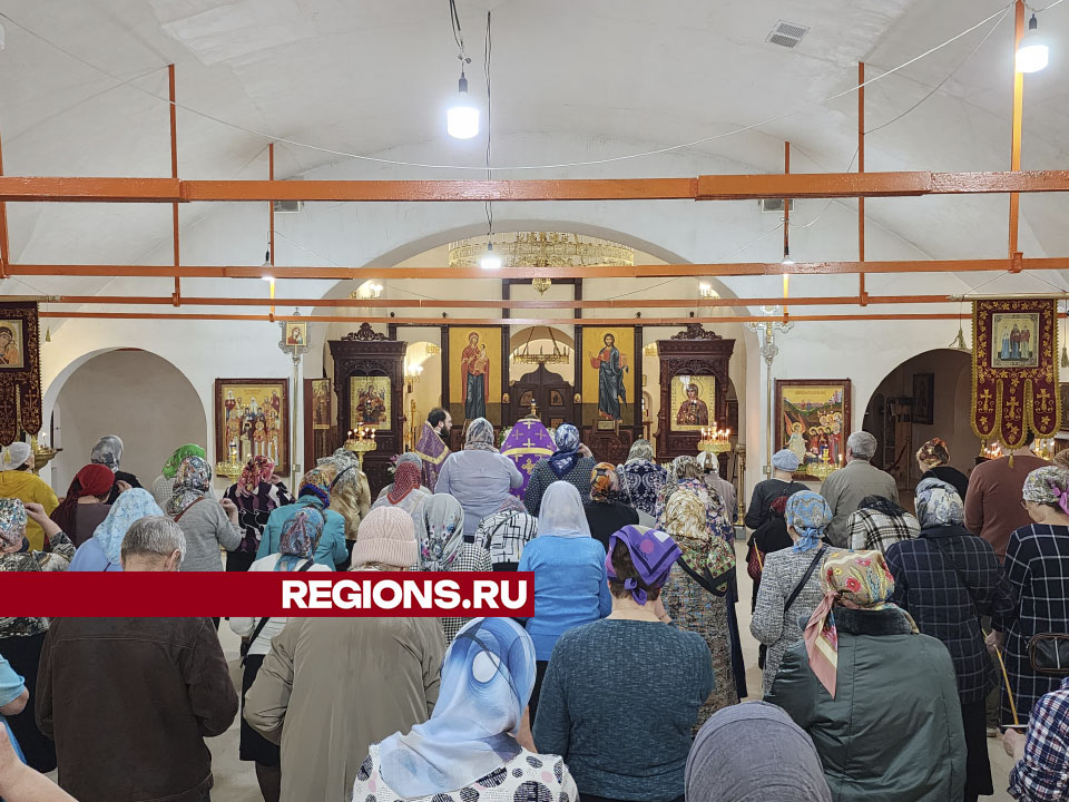 Фото: Светлана Борщева
