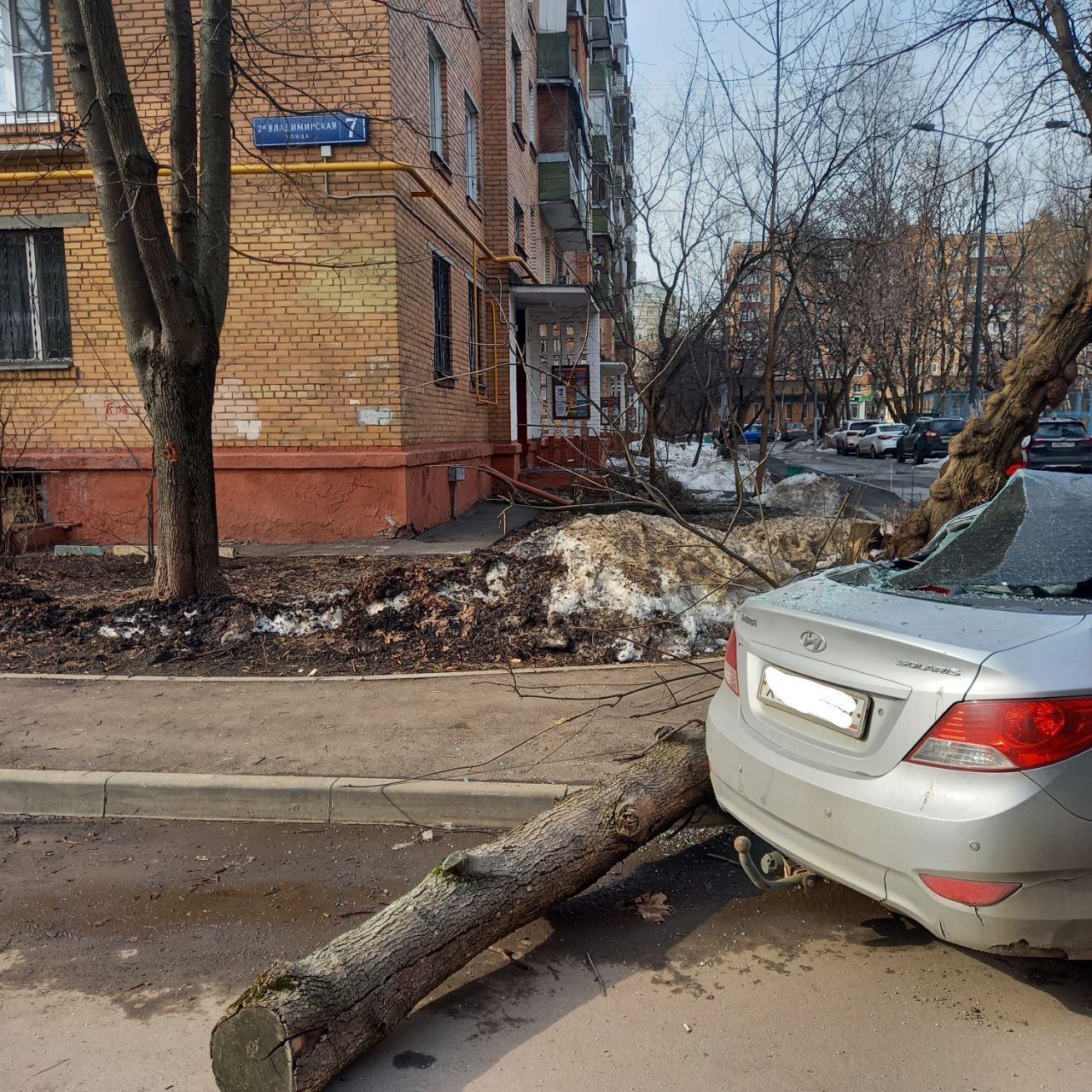 Котельниковским автомобилистам рассказали что делать, если автомобиль  повредило упавшее дерево | REGIONS.RU / Котельники