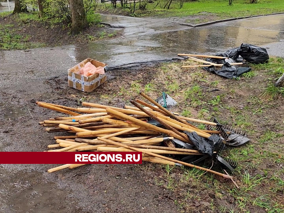 Фото: Арина Кузнецова