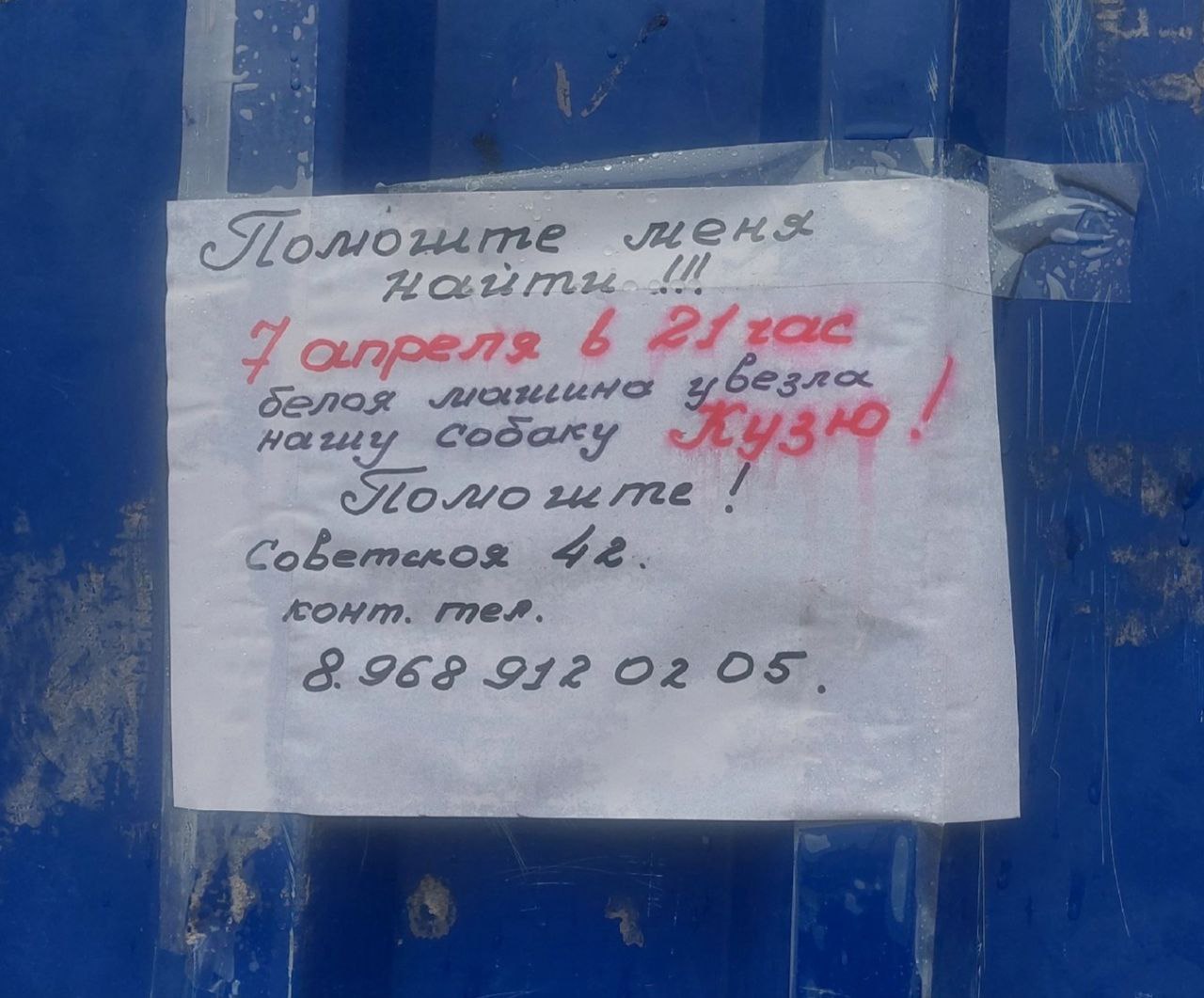 Фото: t.me/ru_balashiha