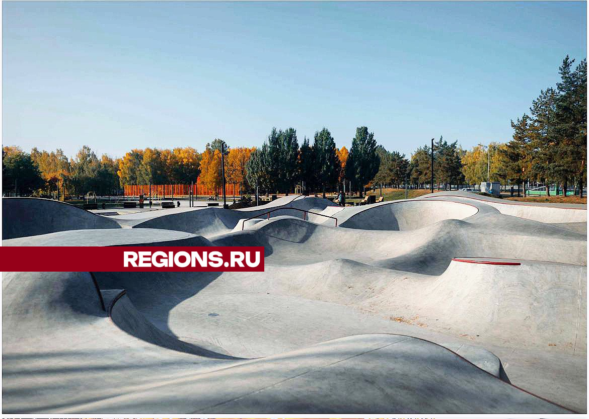 Фото: REGIONS/Дарья Леонова