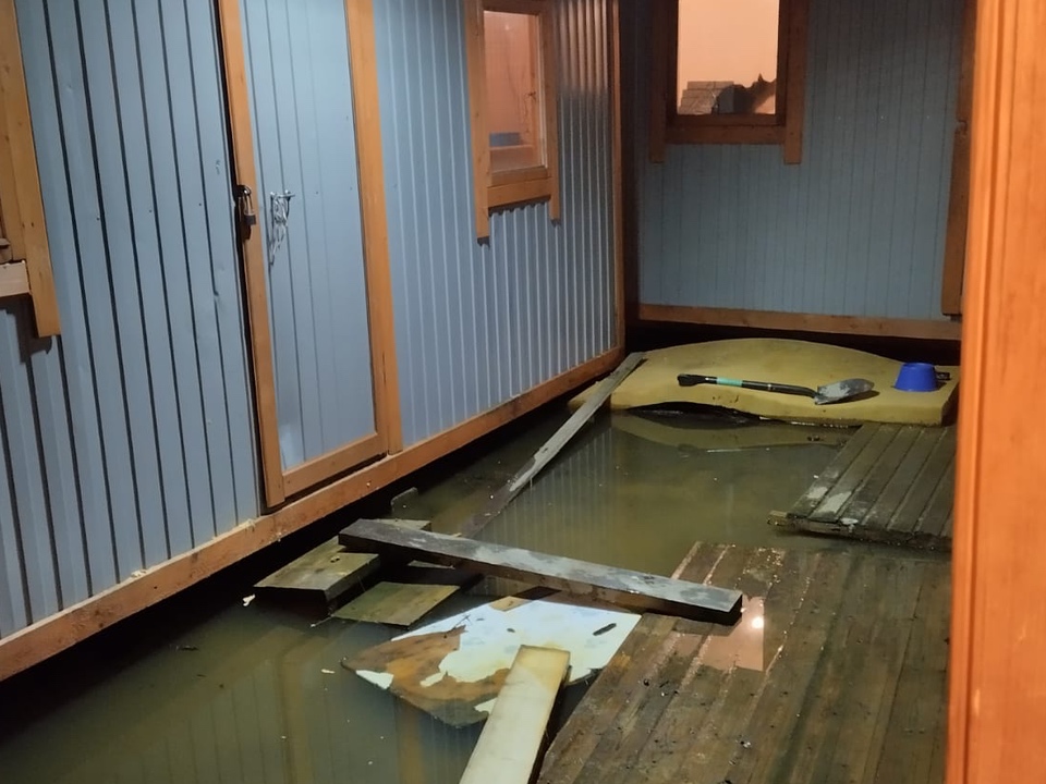 Фото: центр передержки животных «Котлэнд» 