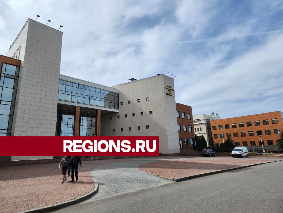 Фото: Арина Кузнецова