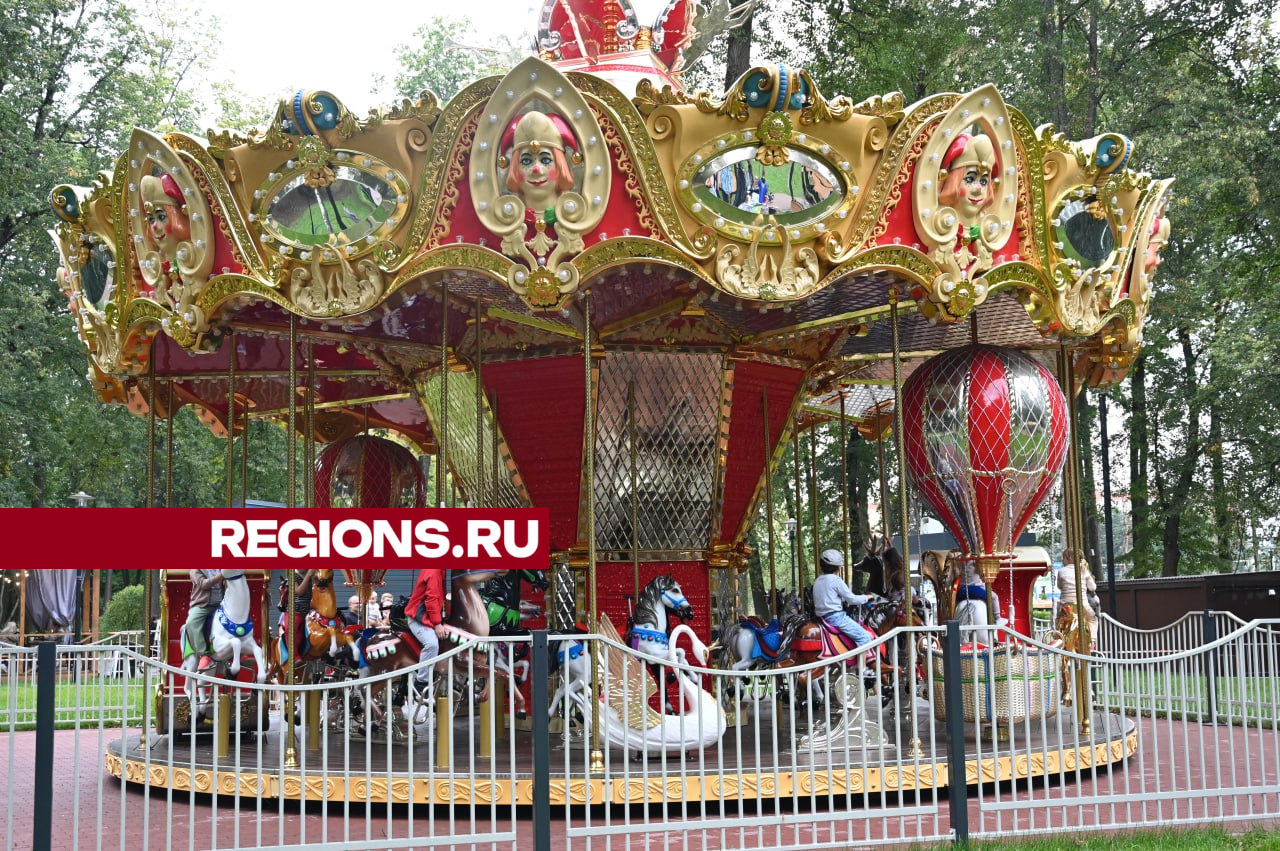 Фото: REGIONS/Дмитрий Зайчиков