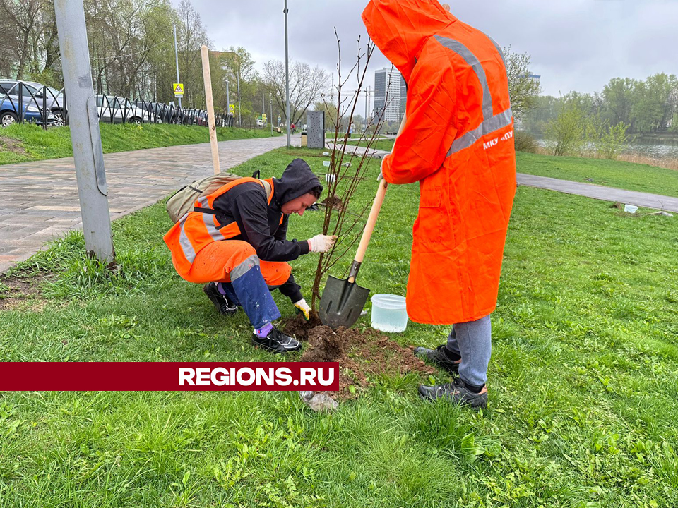 Фото: REGIONS/Ольга Шеметова