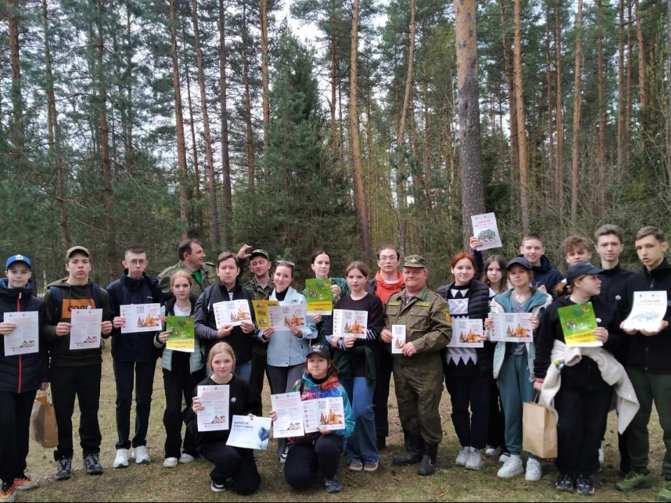 Фото: Комитет лесного хозяйства Московской области 