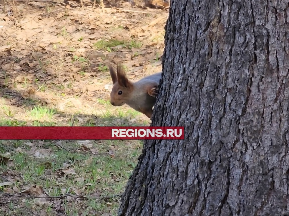 Фото: Роман Савельев