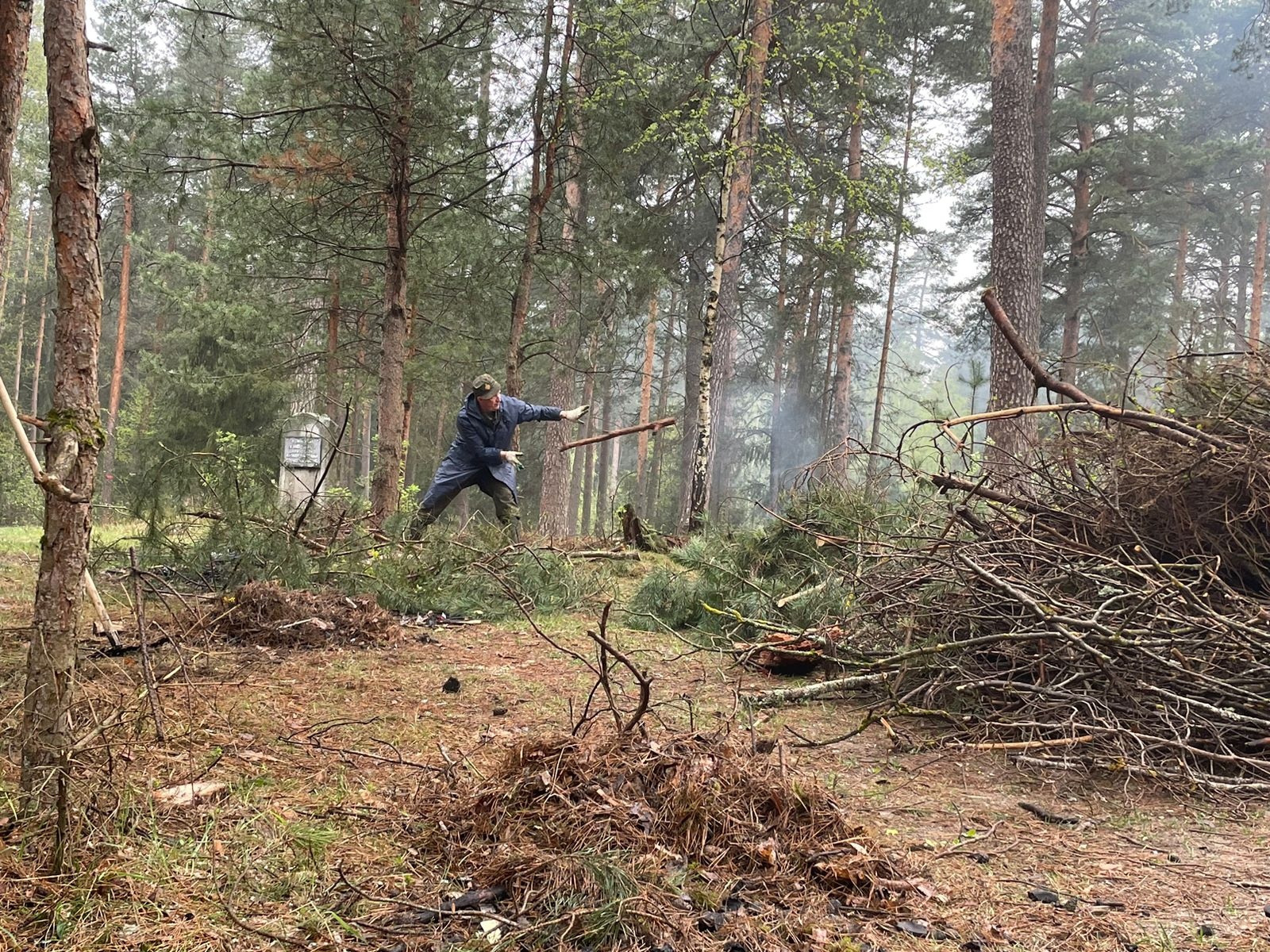 Фото: Егорьевское лесничество