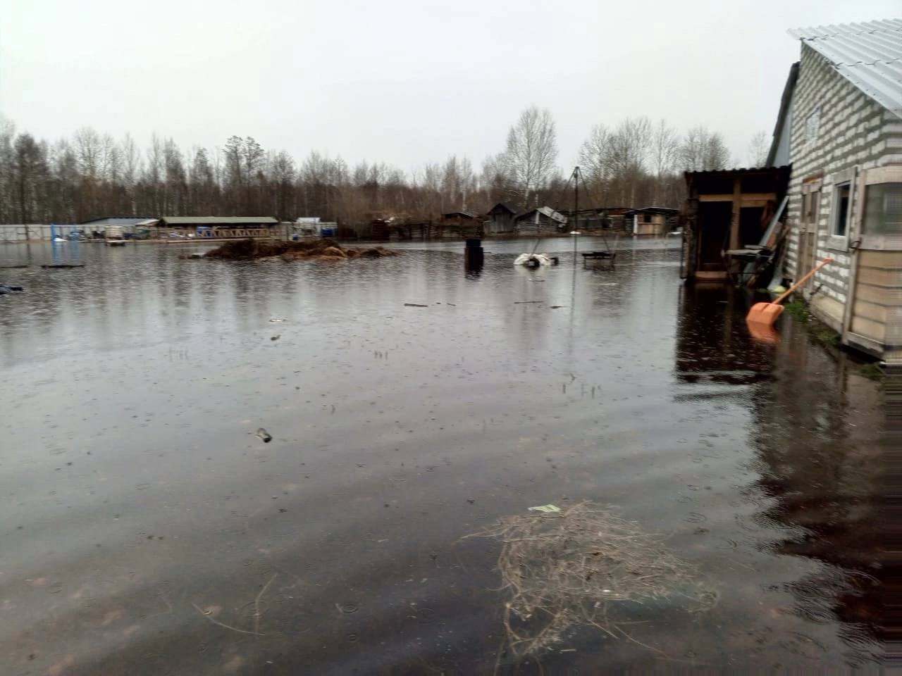 Фото: «Типичная Шатура» https://t.me/vshature