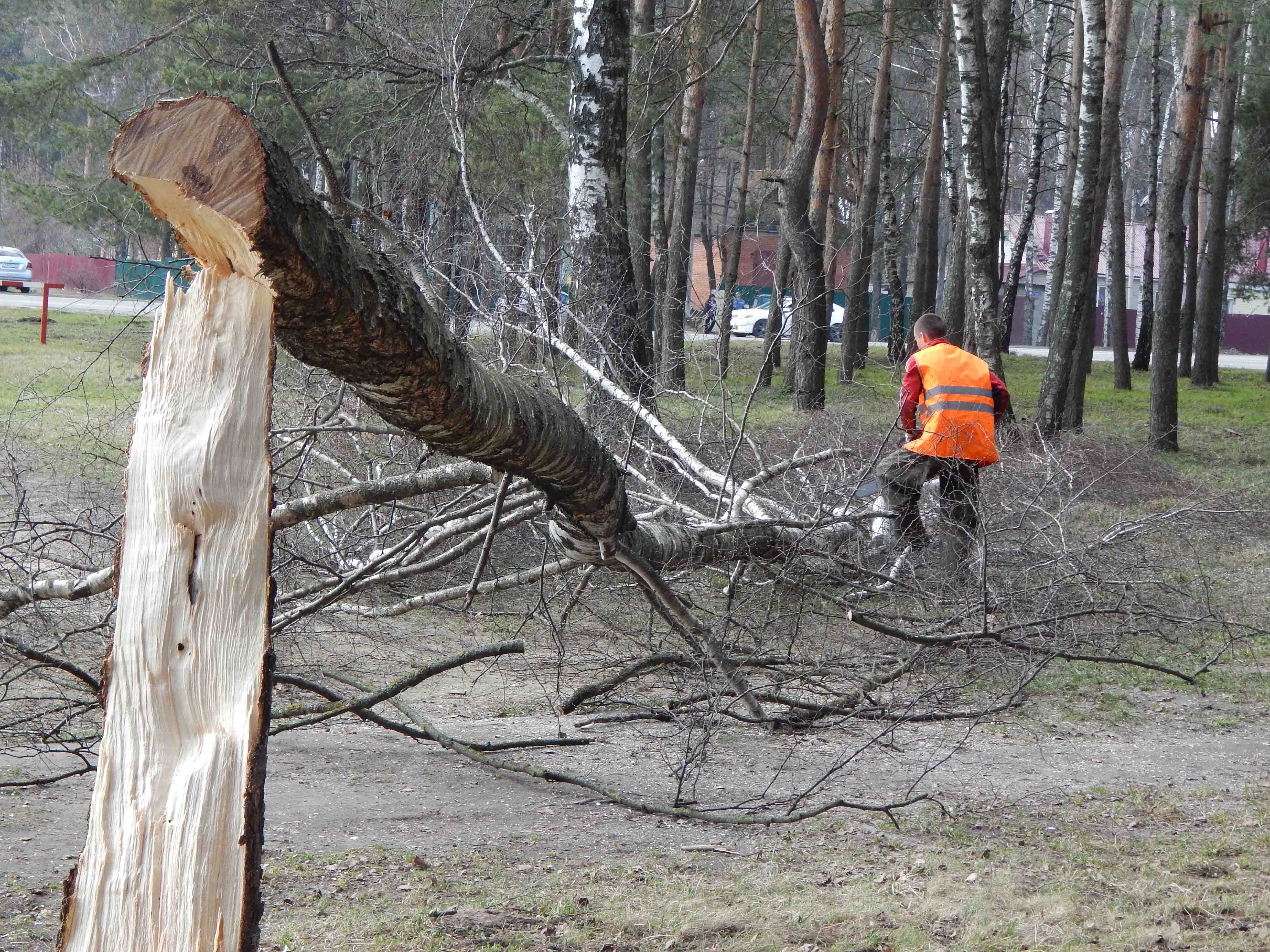 Фото: Ольга Соломатина.