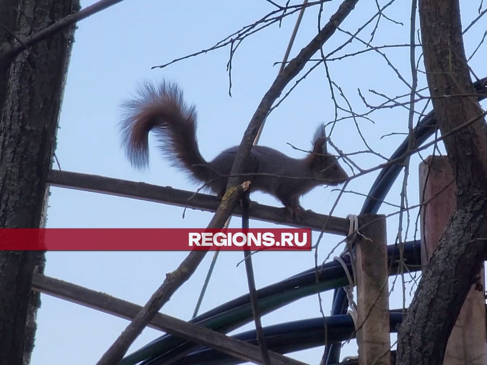 Фото: Роман Савельев